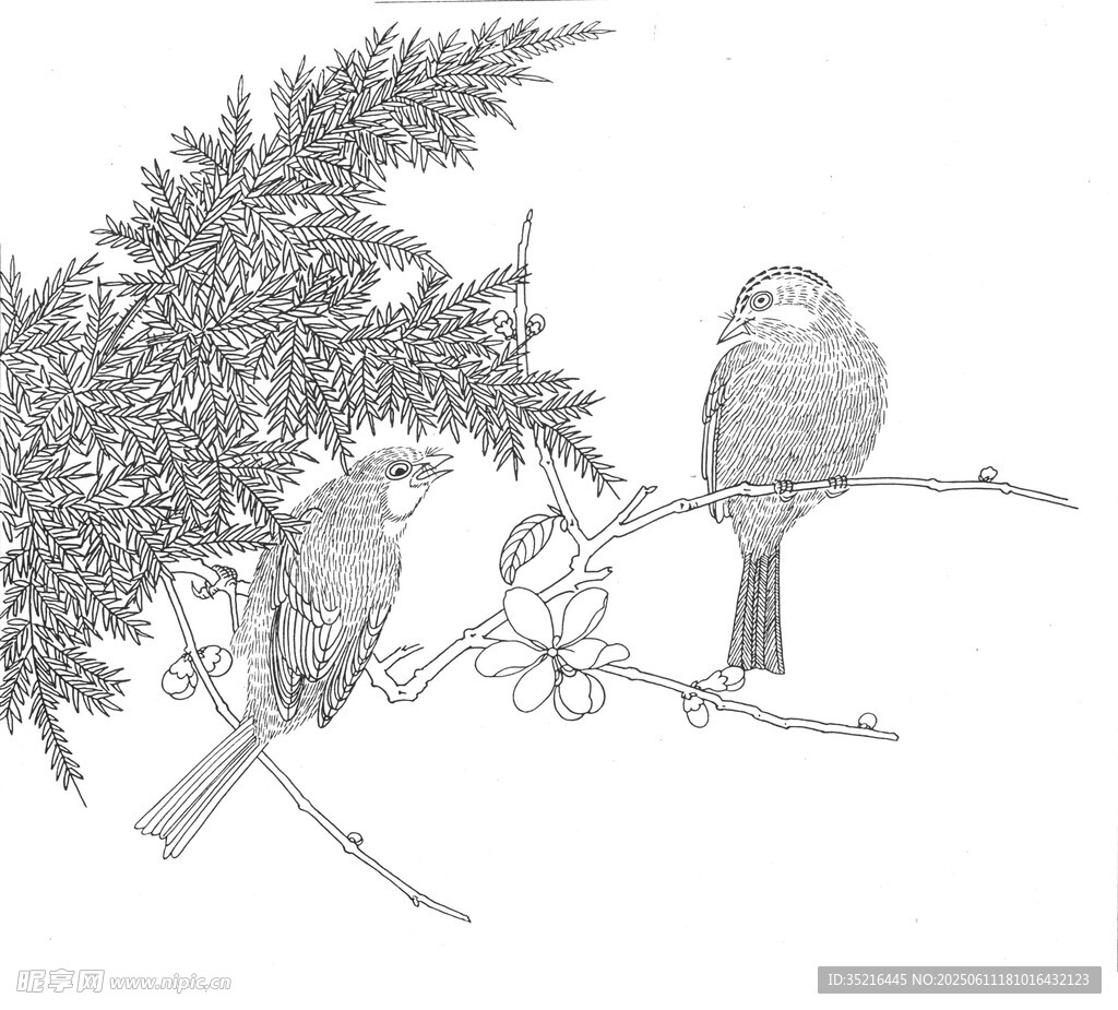 枝頭雙鳥圖
