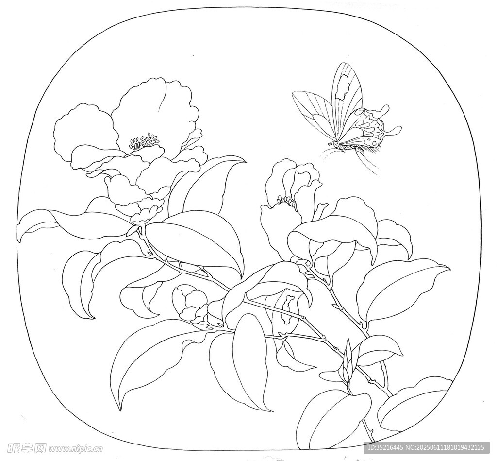 花卉蝴蝶線描圖案