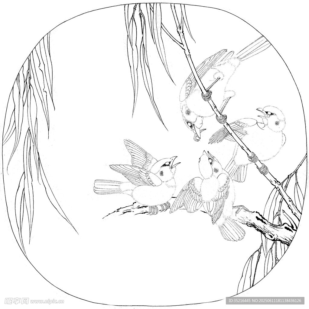 柳間雙鳥圖