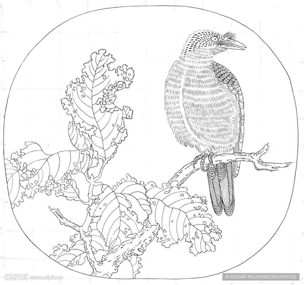 枝頭棲鳥線描圖