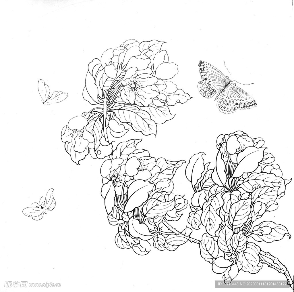 花卉蝴蝶線描藝術(shù)圖