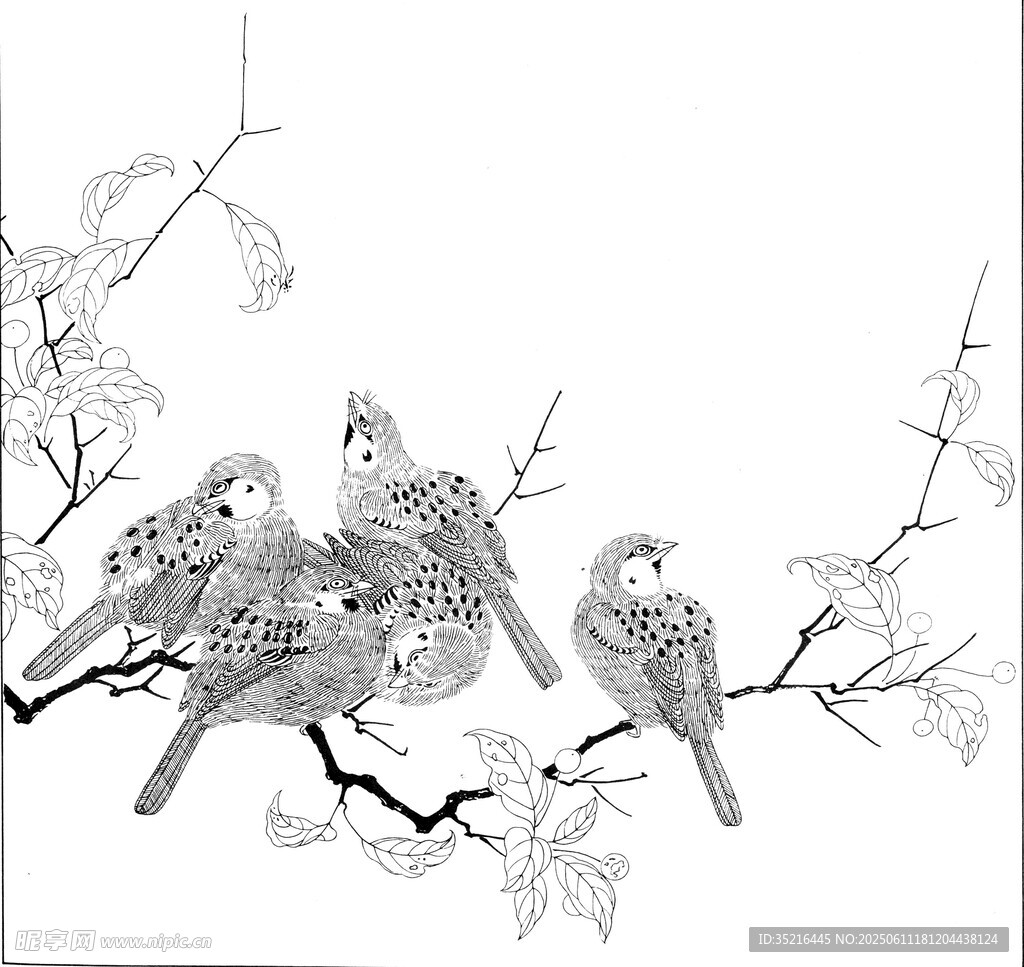 枝頭棲鳥圖