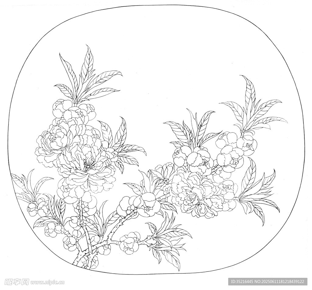 圓形花卉白描圖