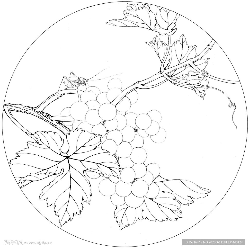 葡萄枝葉線描圖案