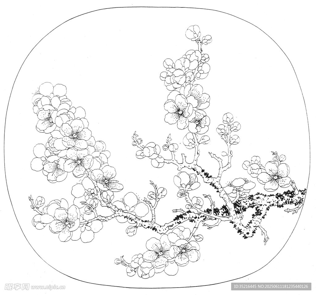 中式白描梅花圖