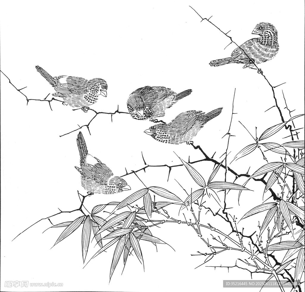 竹枝上的群鳥(niǎo)