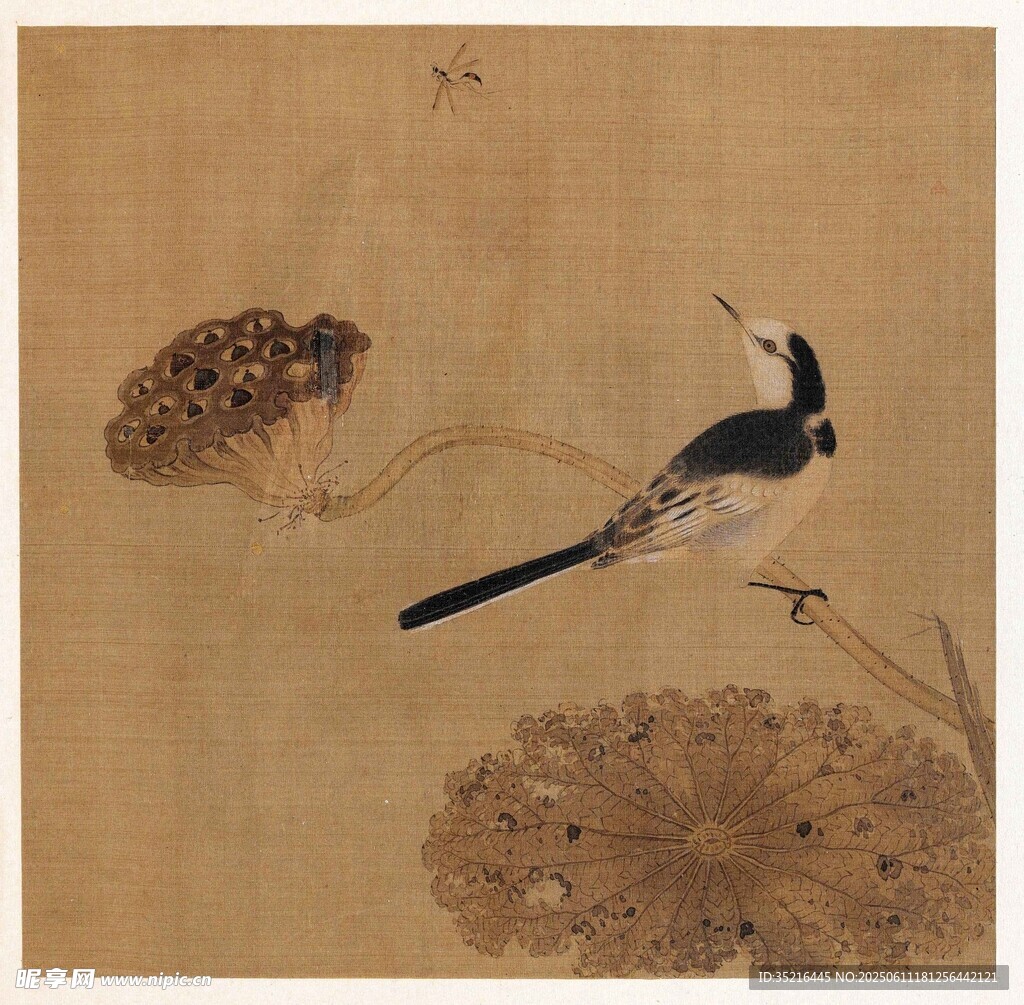 古畫中的鳥與殘荷