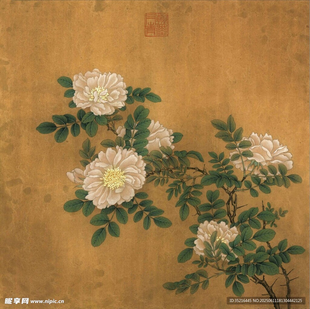 古畫中的白薔薇花卉圖