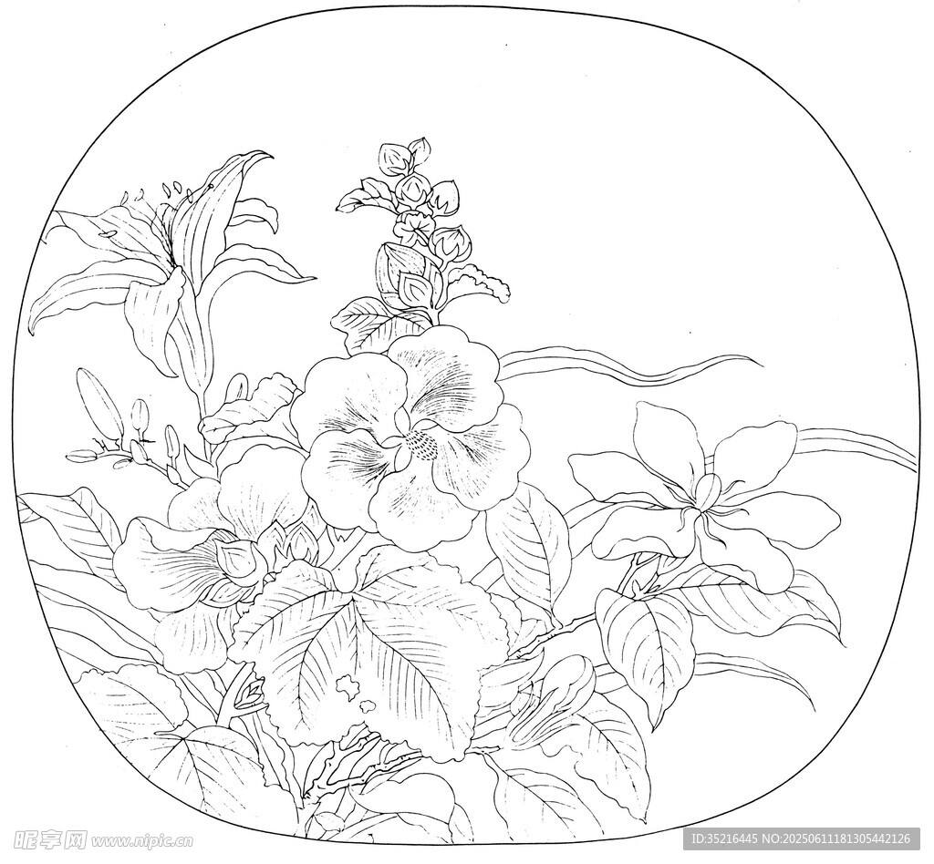 花卉白描圖