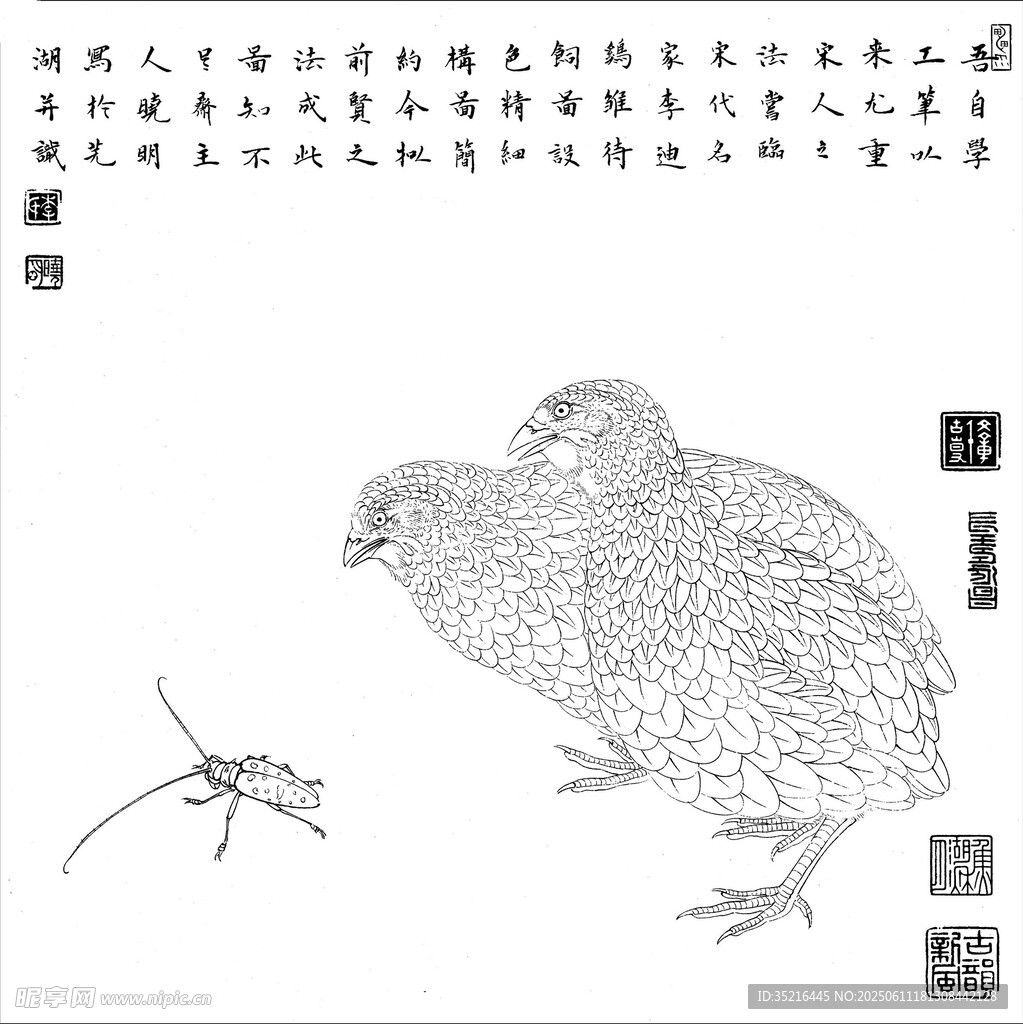 工筆禽蟲圖