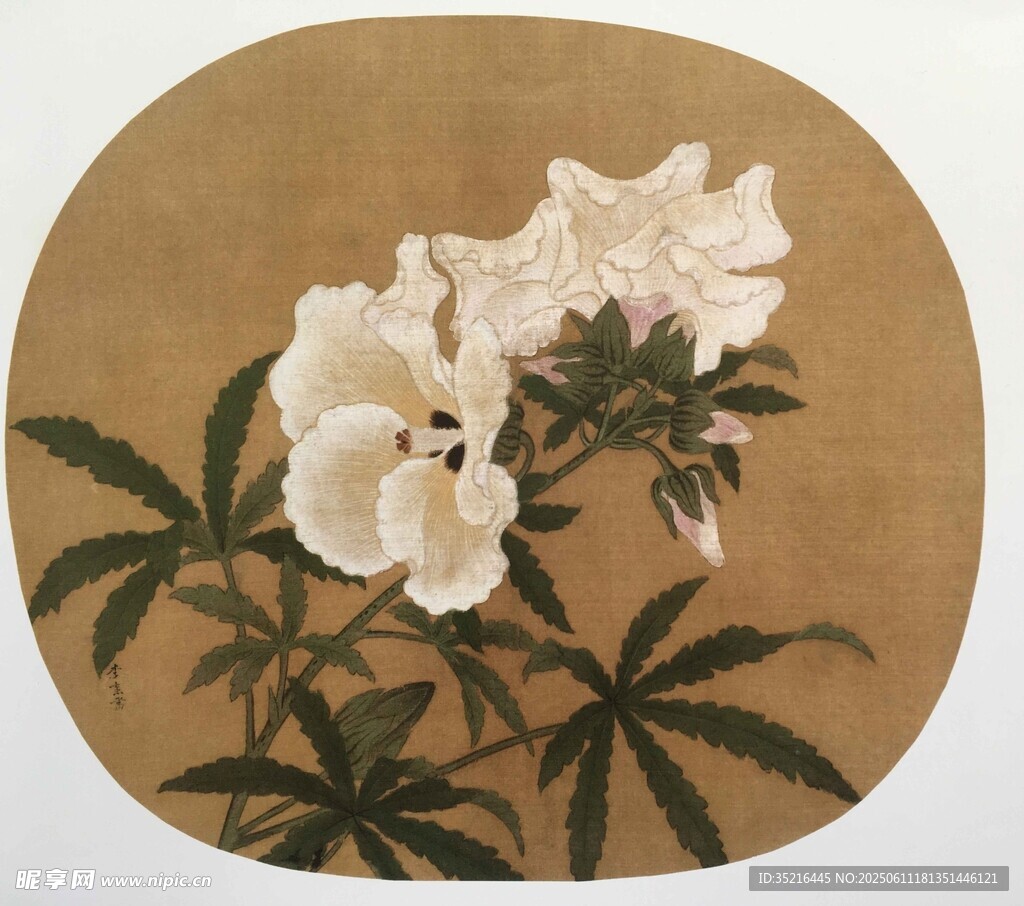 圓形白花卉國畫作品