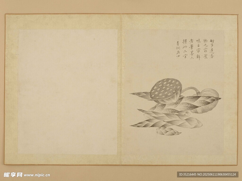 古風花卉古籍插畫