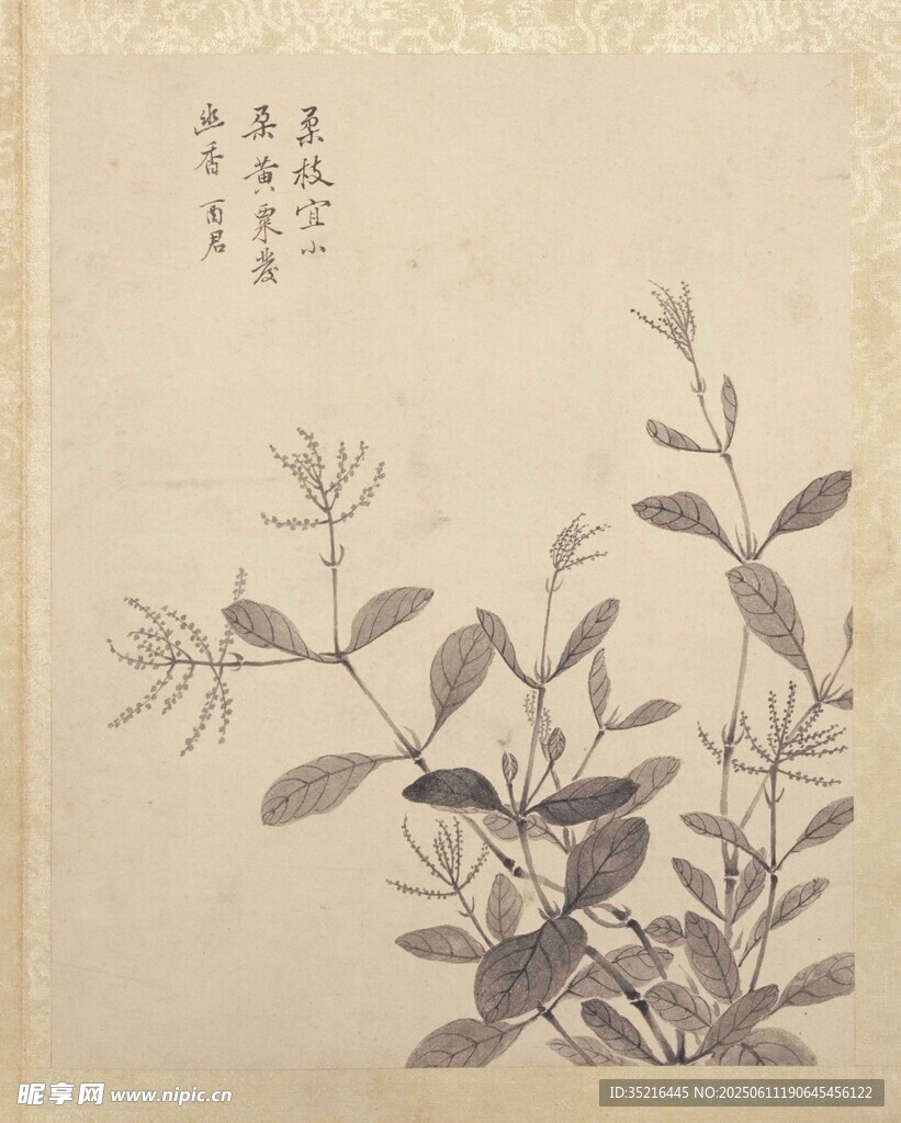 水墨花卉圖