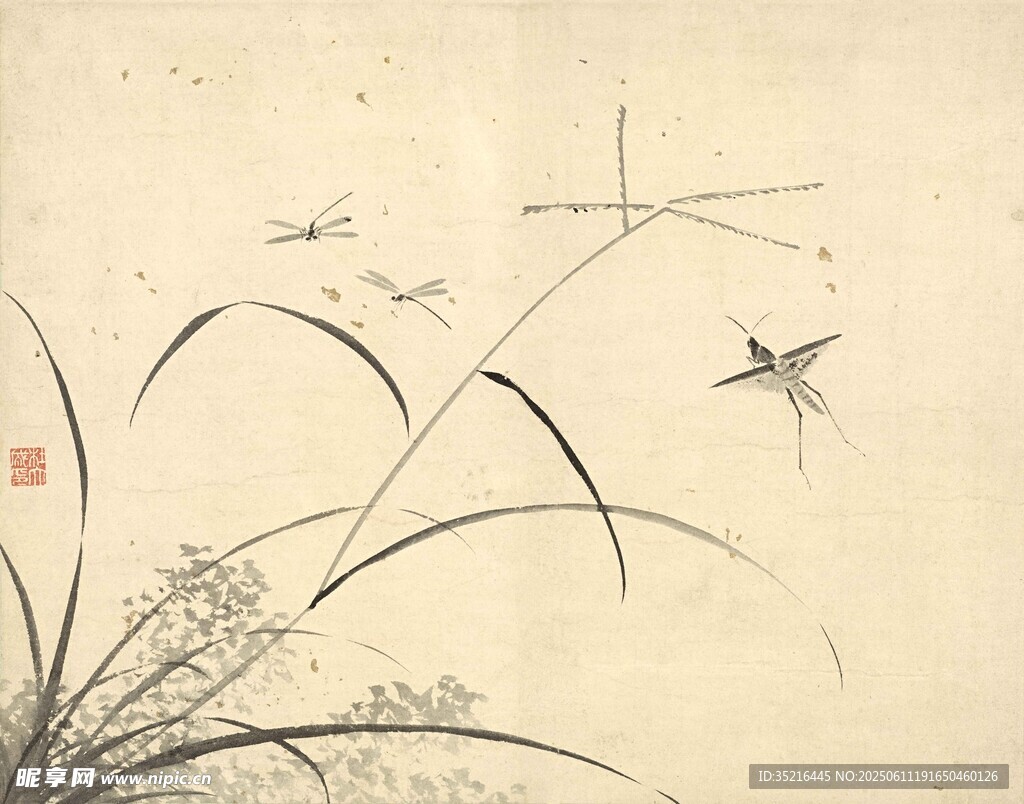 水墨蘭草圖