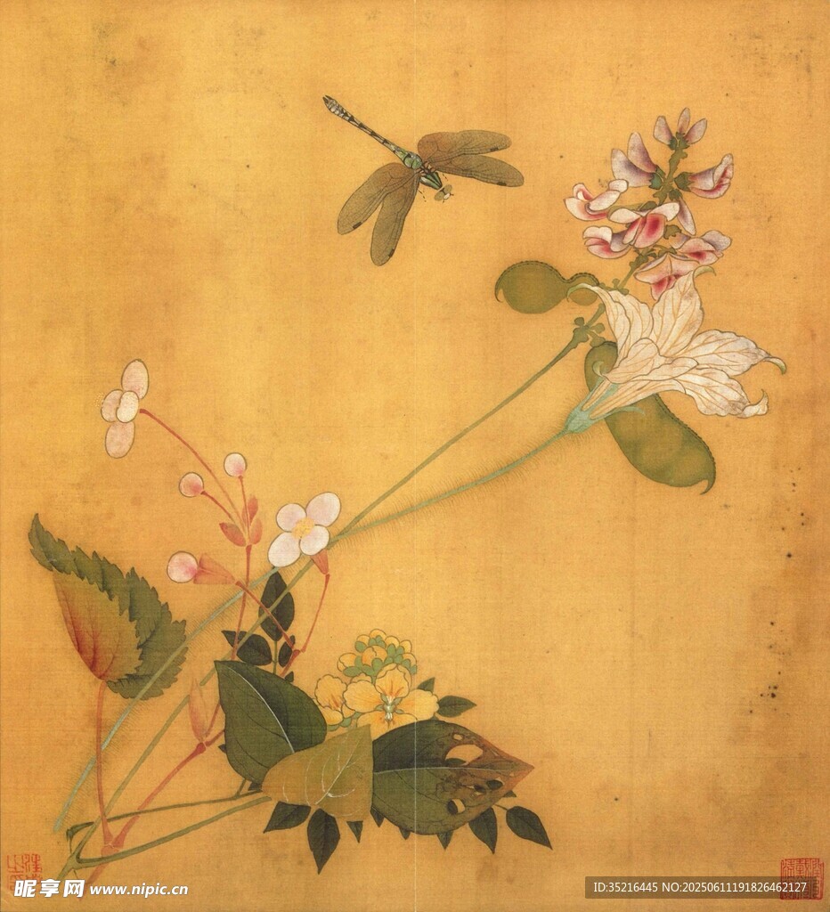 古畫中的蜻蜓與花卉