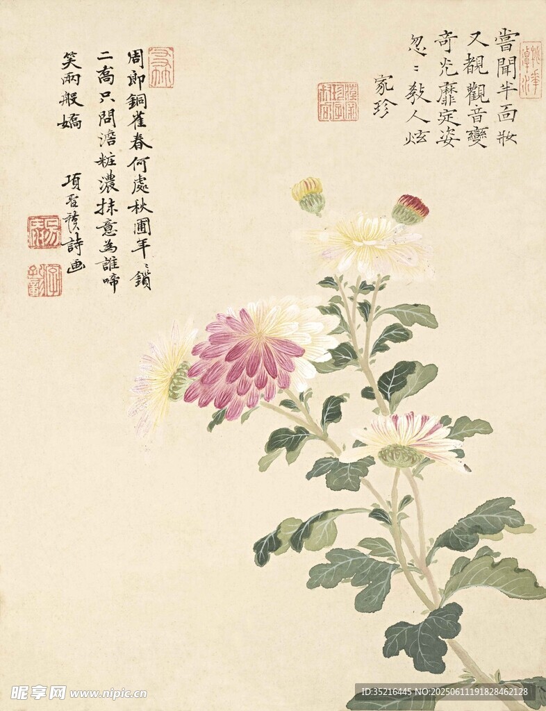 水墨花卉圖