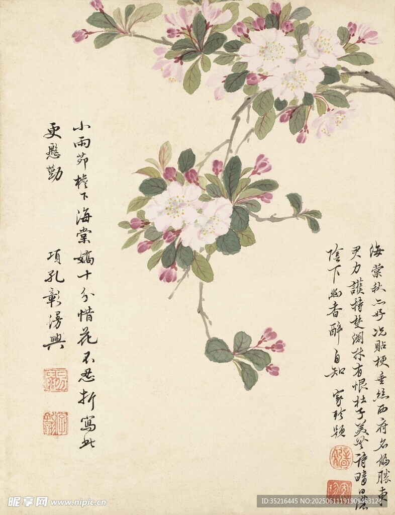 水墨花卉圖