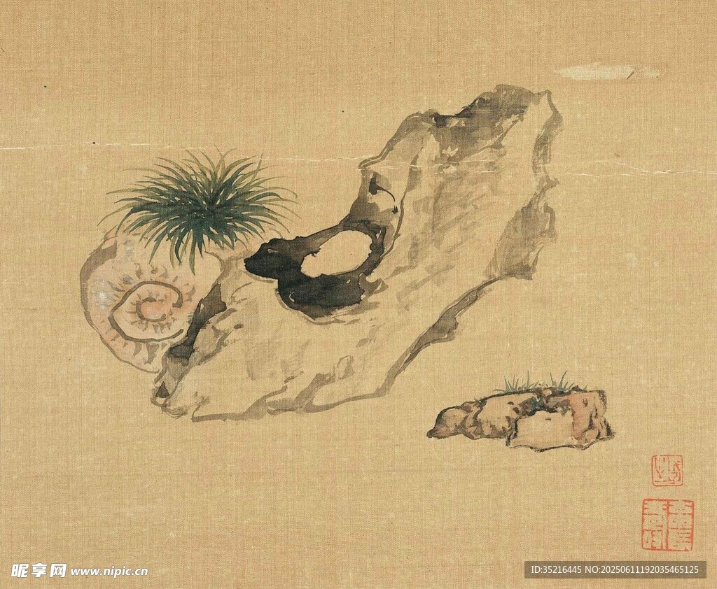 古松臥石圖