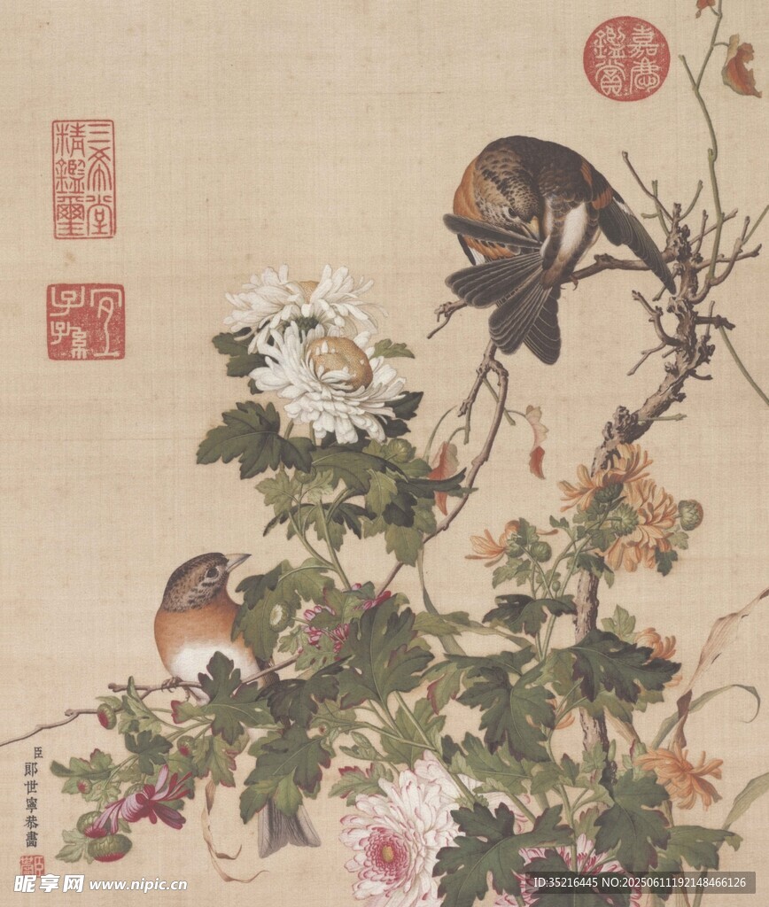 花鳥(niǎo)圖
