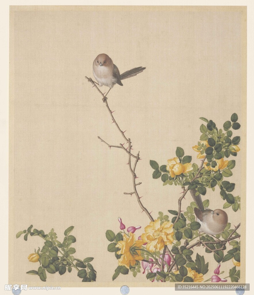 枝頭雙雀圖