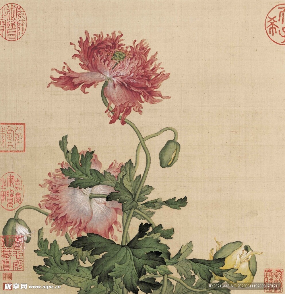 工筆花卉圖