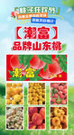 潮富品牌山東桃果