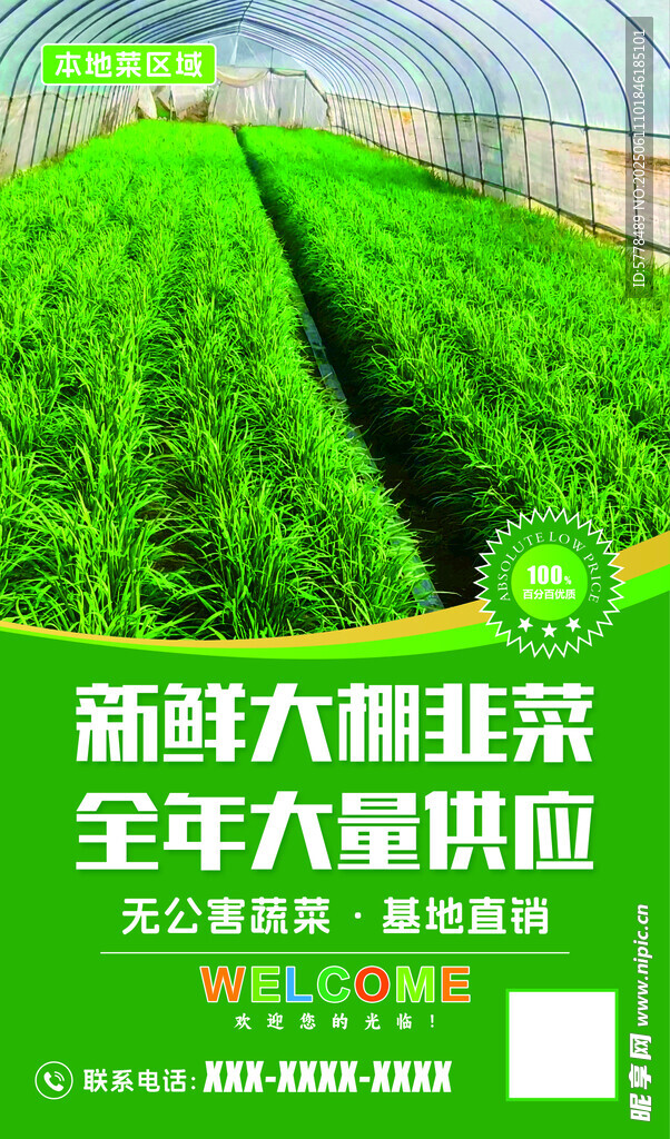 新鮮大棚韭菜