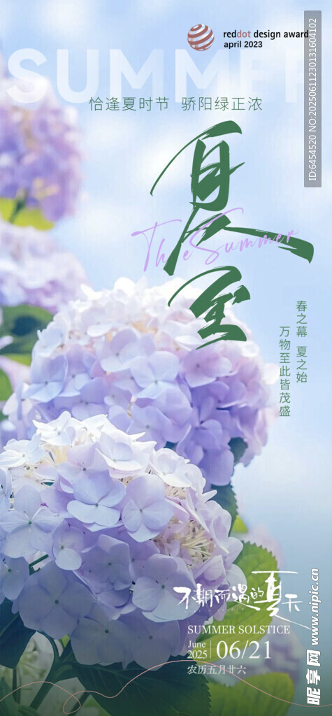 夏至節氣海報