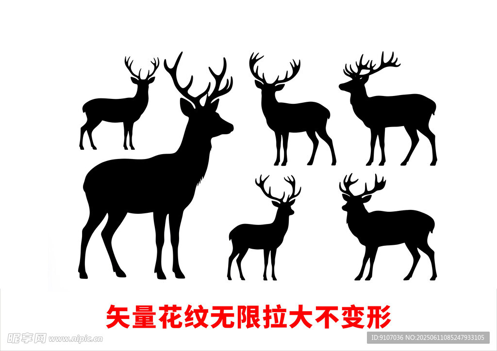 動物矢量