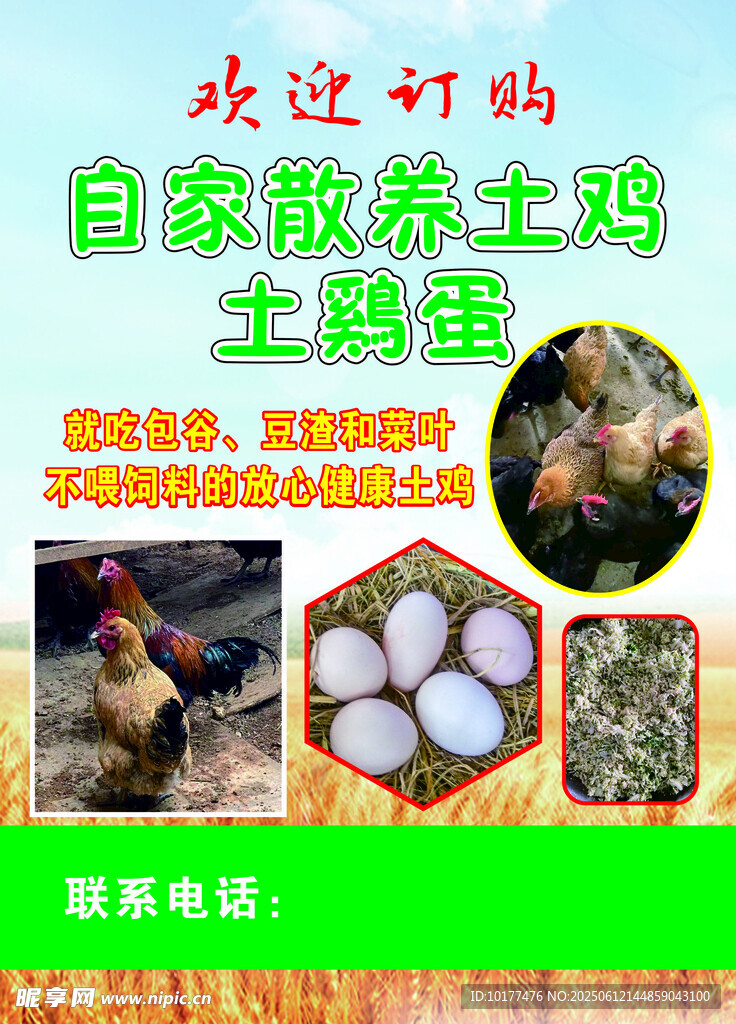 農家散養土雞蛋新鮮美味