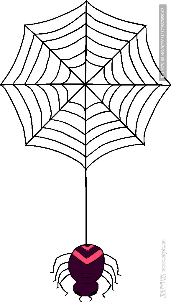 蜘蛛懸掛于蛛網(wǎng)