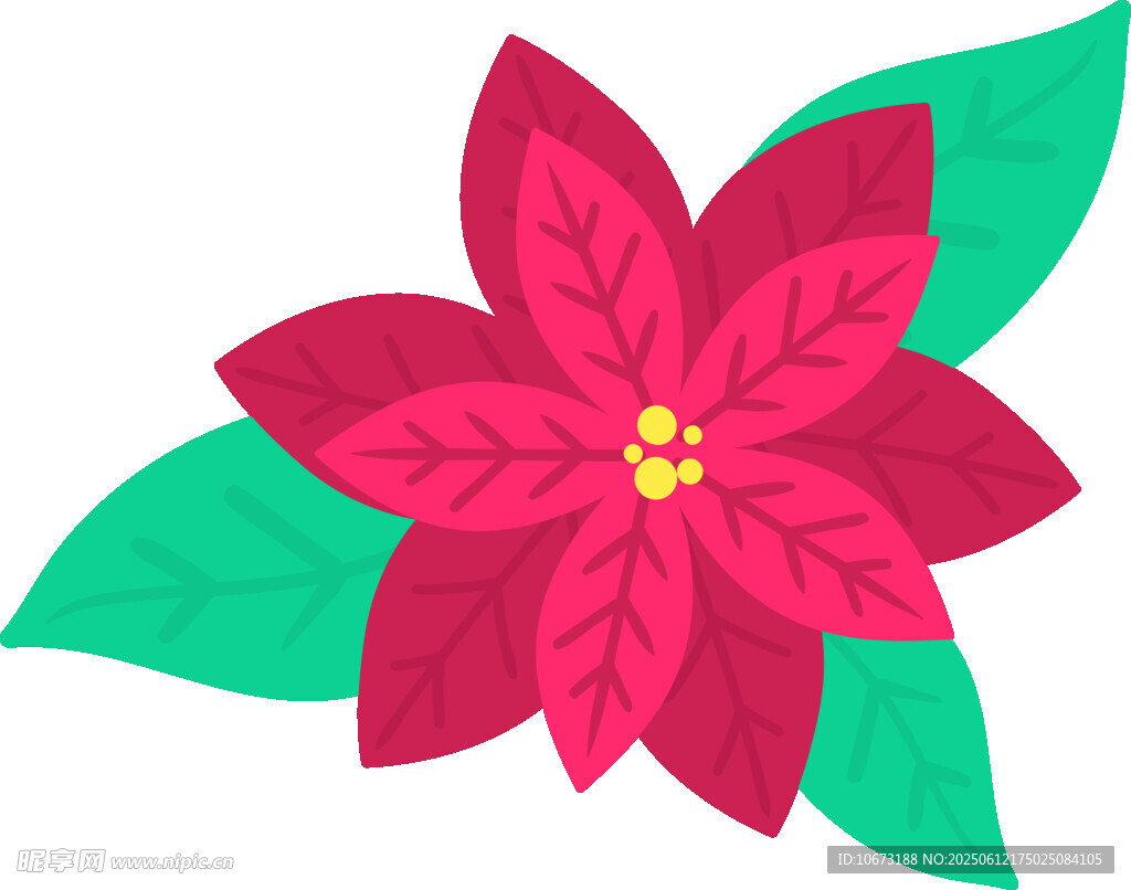 一品紅花卉插畫(huà)