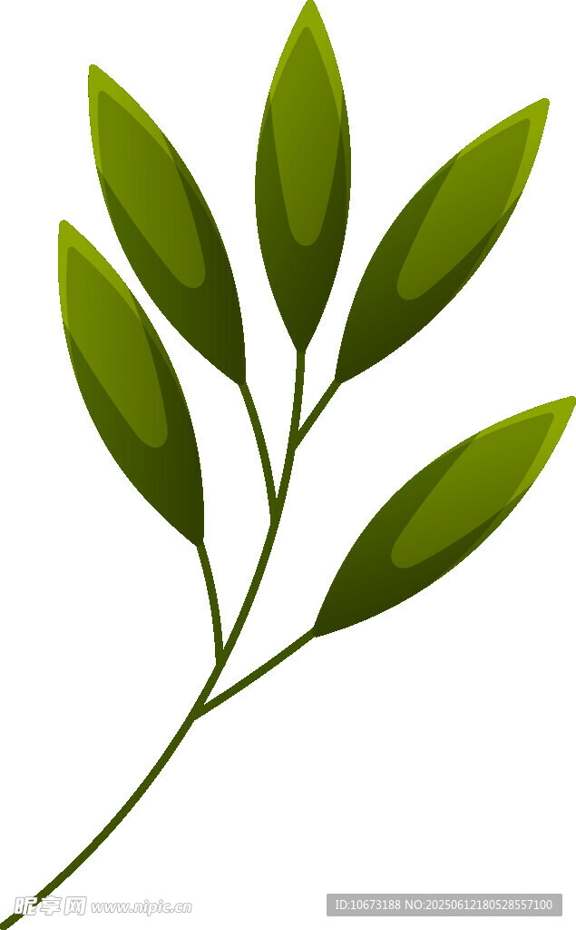 嫩綠枝葉