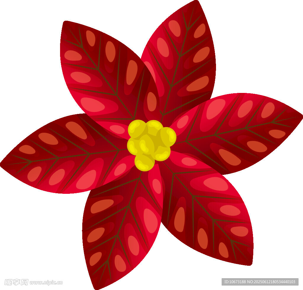 紅色一品紅花朵插畫