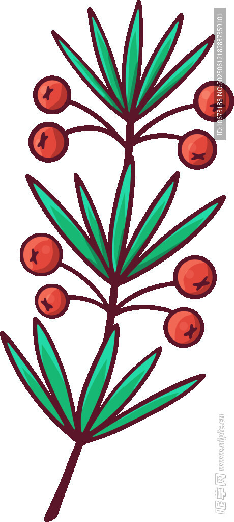 帶紅果的綠色植物枝葉