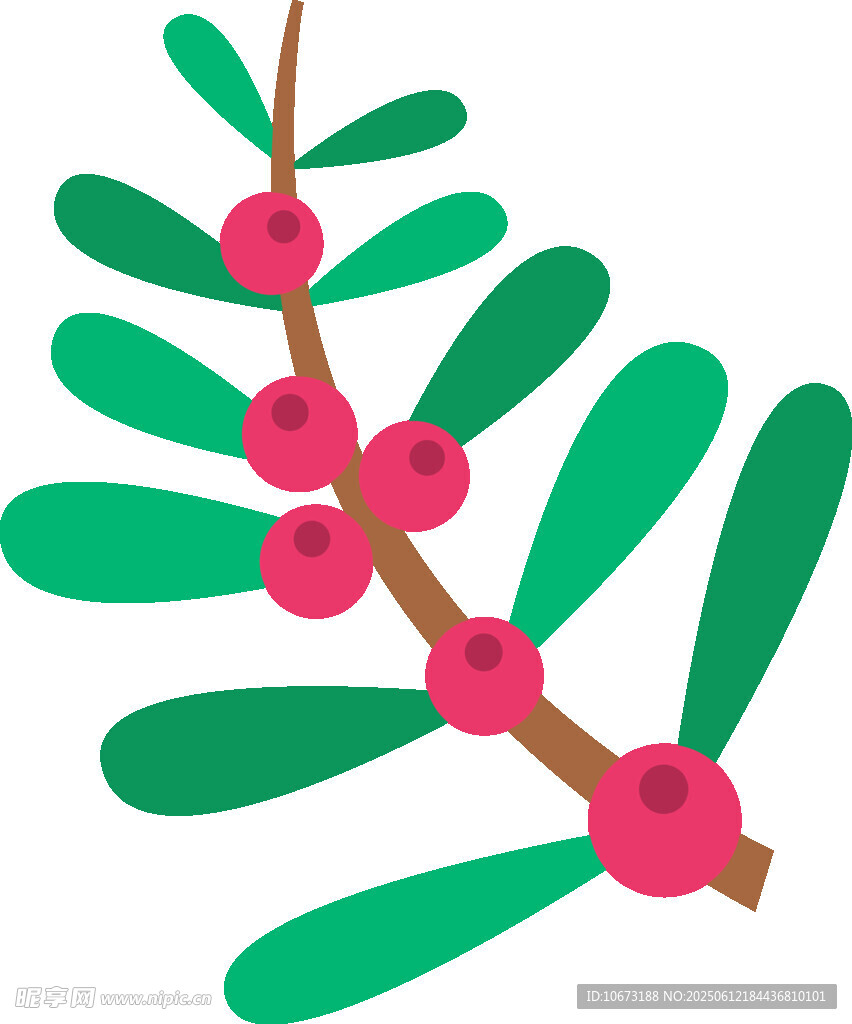 帶果綠葉枝插畫