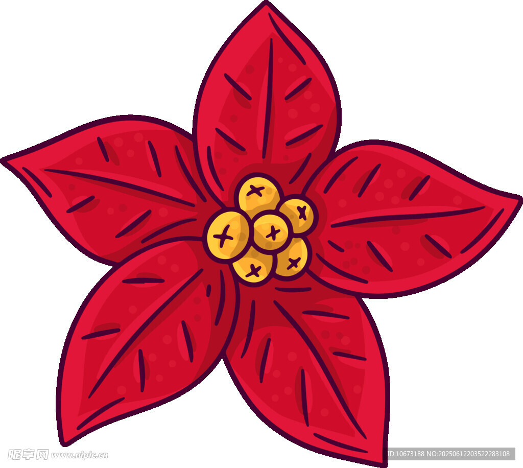 紅色一品紅花卉插畫