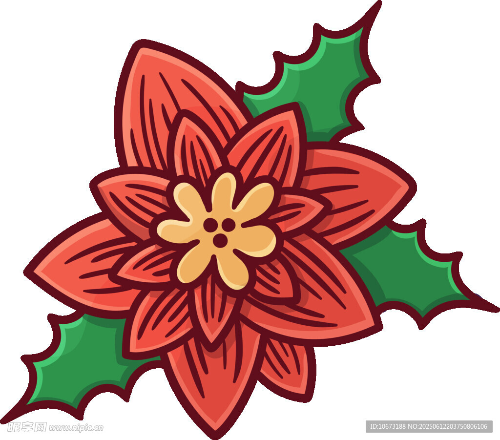 紅色一品紅花卉插畫(huà)