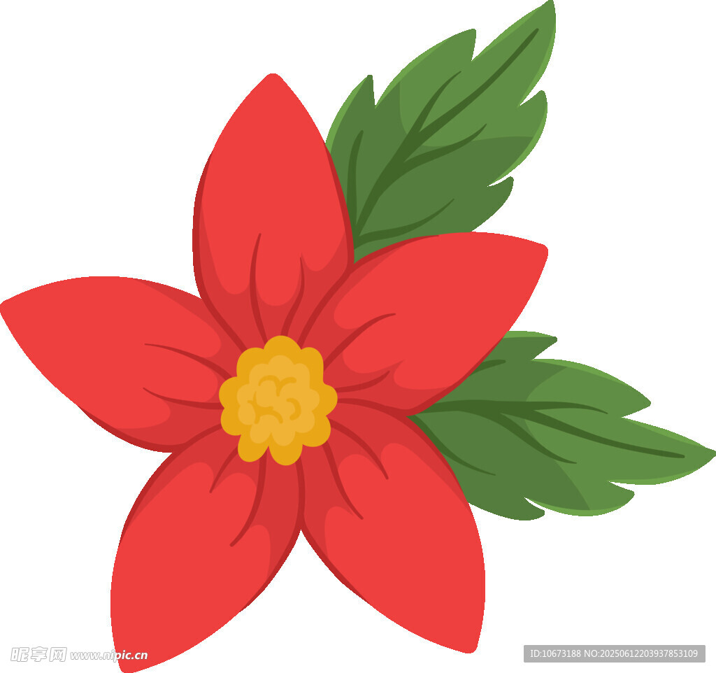 紅色花朵插畫