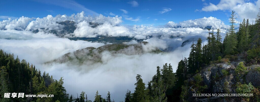 山間云海與蔥郁林木美景