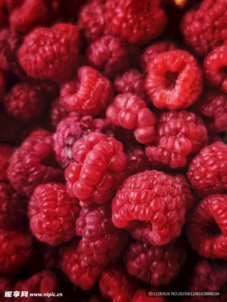 飽滿多汁的新鮮樹莓