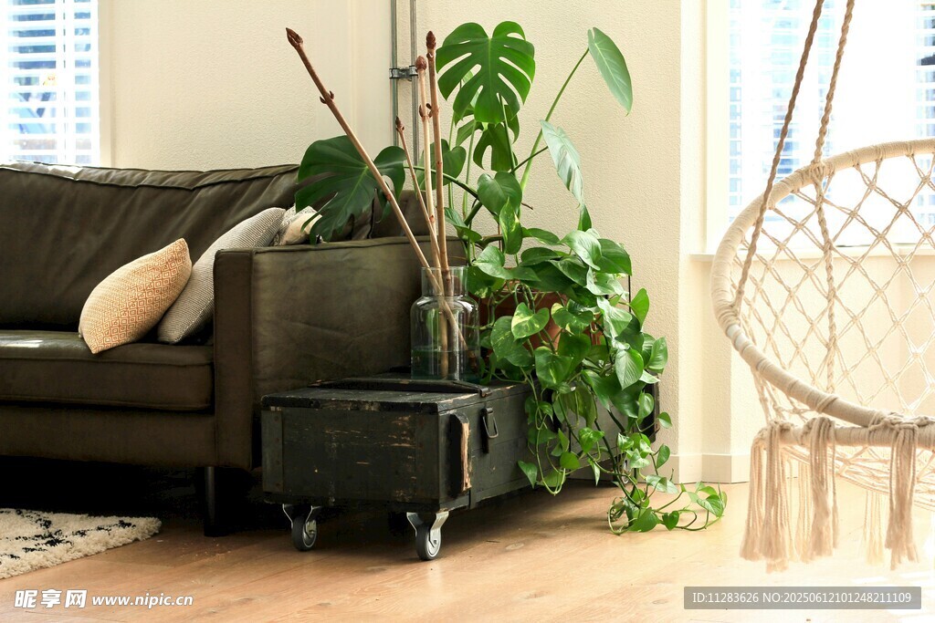 室內(nèi)綠植裝點的舒適角落
