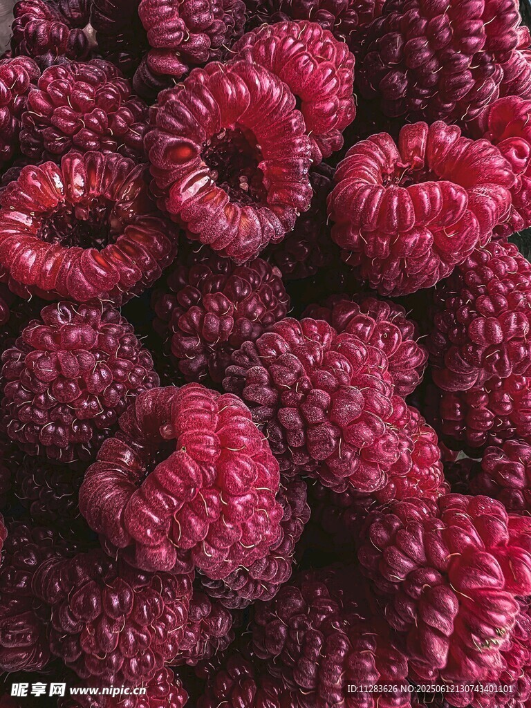 飽滿多汁的新鮮樹莓