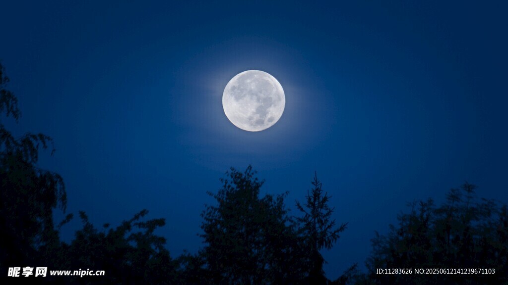 夜空下的皎潔明月