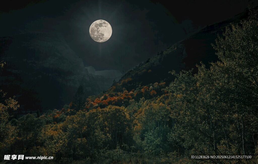 月夜山林美景
