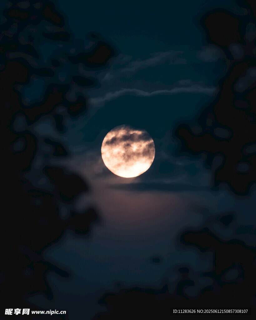 夜空中的皎潔明月