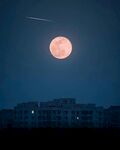夜空中的滿月與建筑