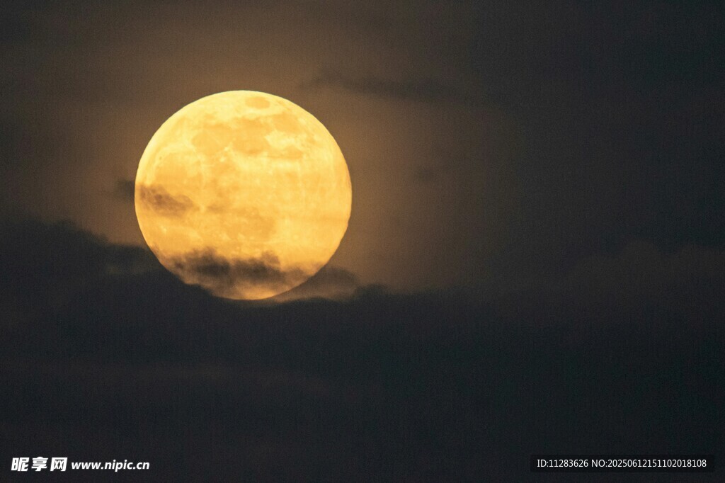 夜空中的金黃滿月