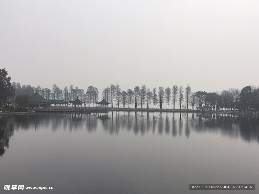 寧靜湖面與遠(yuǎn)處樹木景觀
