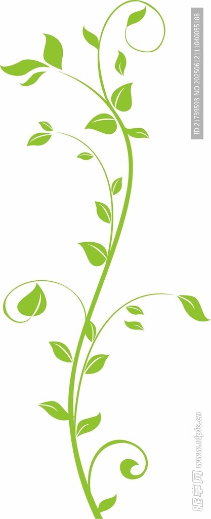 綠色藤蔓植物裝飾圖案